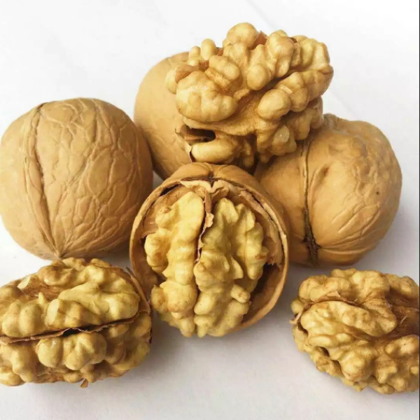 Fresh Walnut