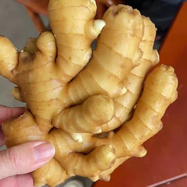 Fresh Ginger